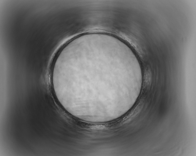 X0000096221462200802151512