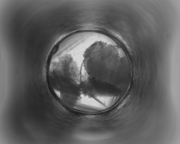 X0000096221463200802151512