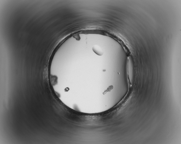 X0000096221465200802151512