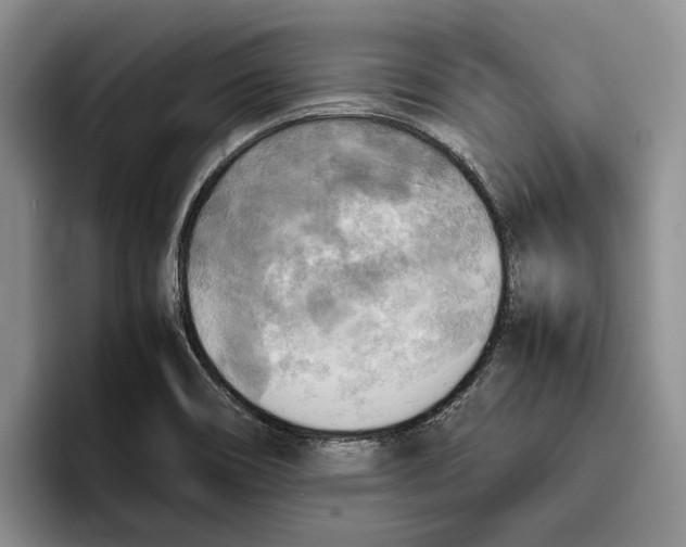 X0000096221466200802151512