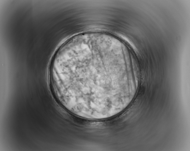 X0000096221467200802151512