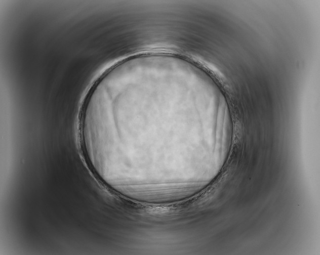 X0000096221470200802151512