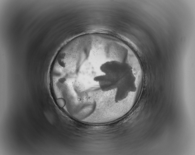 X0000096221471200802151512