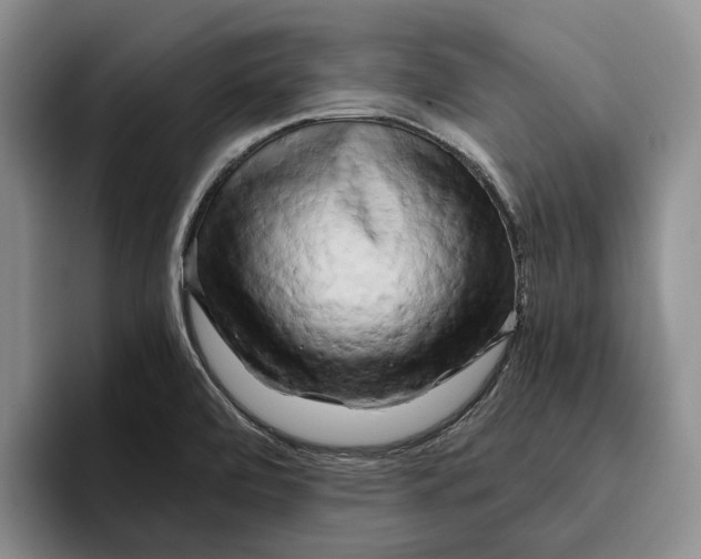 X0000096221472200802151512