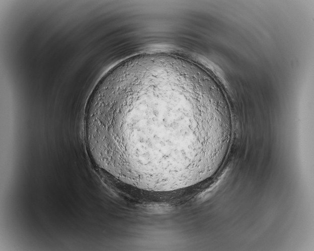 X0000096221473200802151512