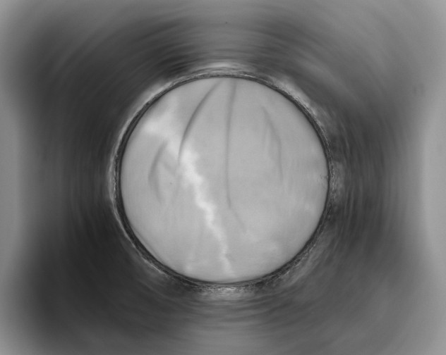 X0000096221474200802151512