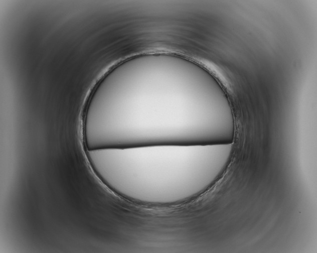 X0000096221476200802151512