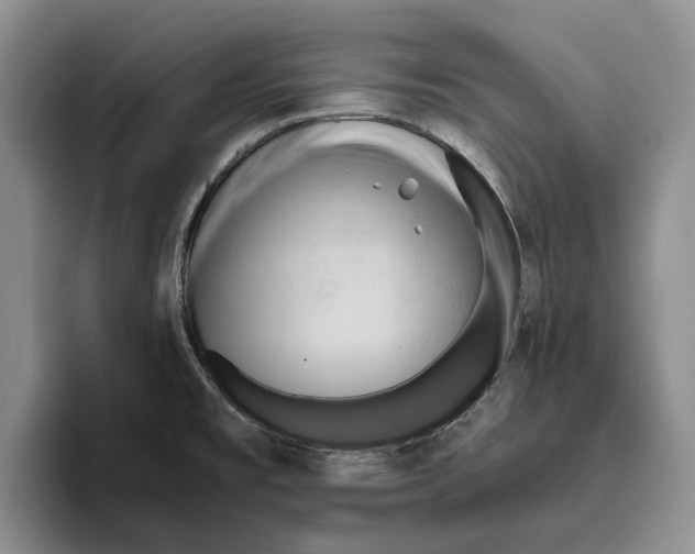 X0000096221477200802151512