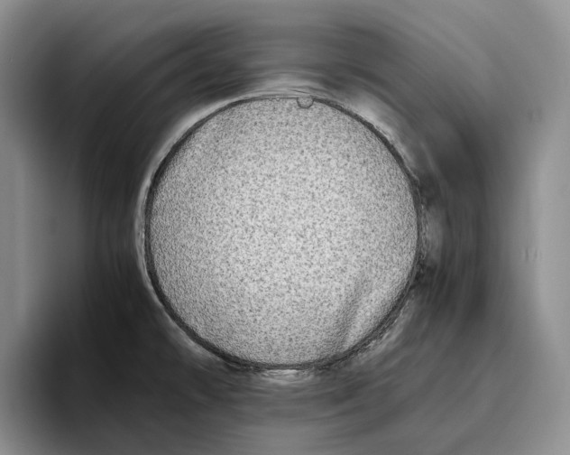 X0000096221478200802151512