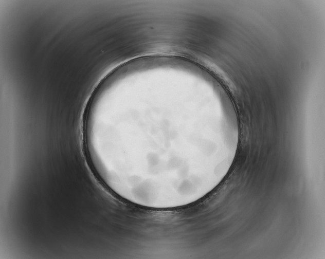 X0000096221479200802151512