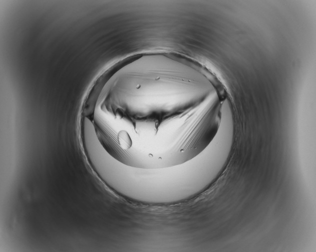 X0000096221480200802151512