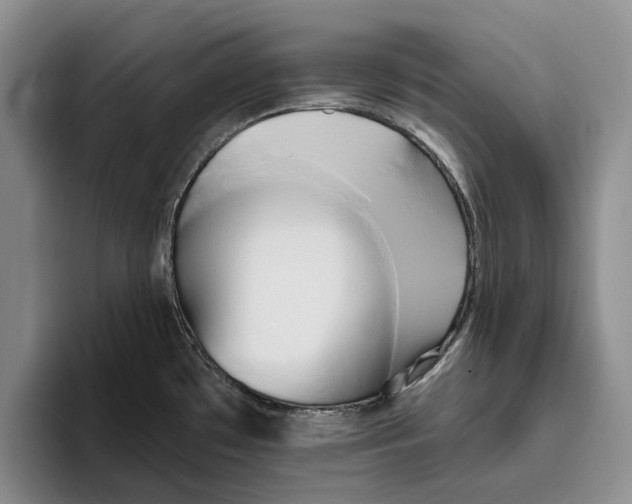 X0000096221481200802151512