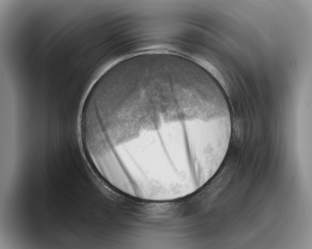 X0000096221482200802151512