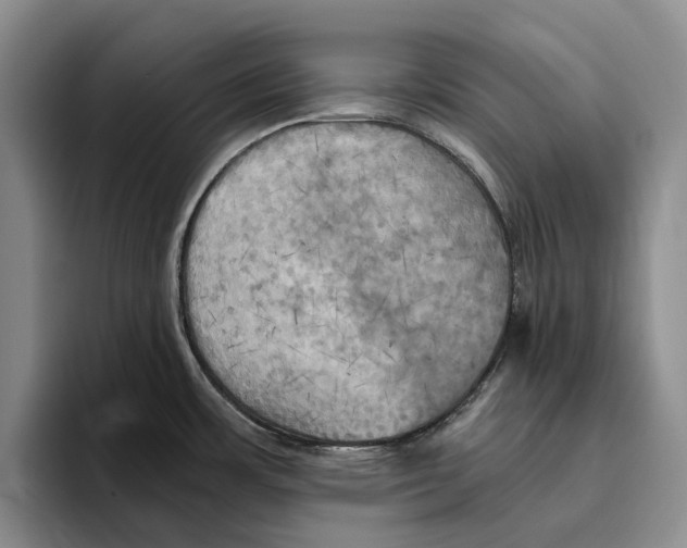 X0000096221483200802151512