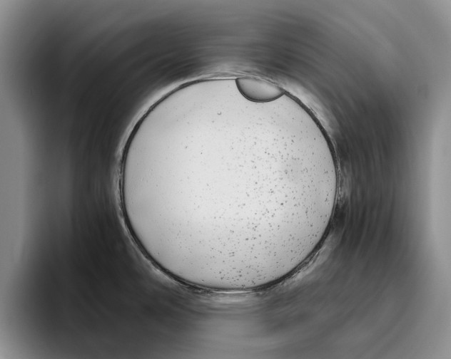 X0000096221486200802151512