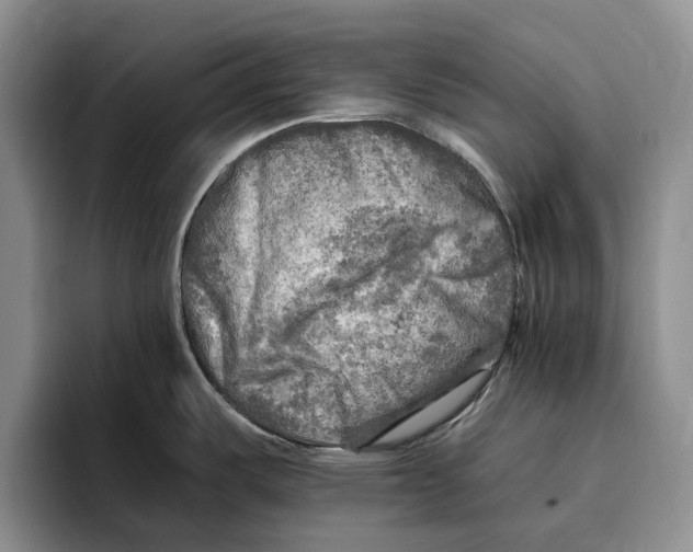 X0000096221487200802151512