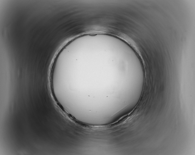 X0000096221488200802151512