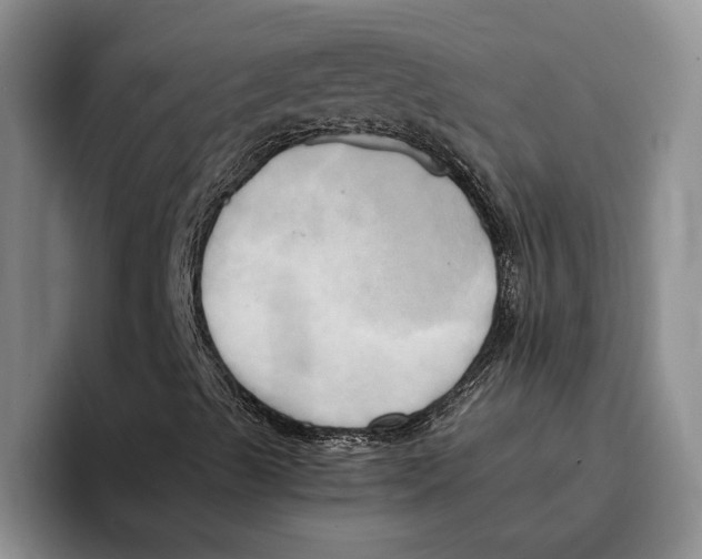 X0000096221489200802151511