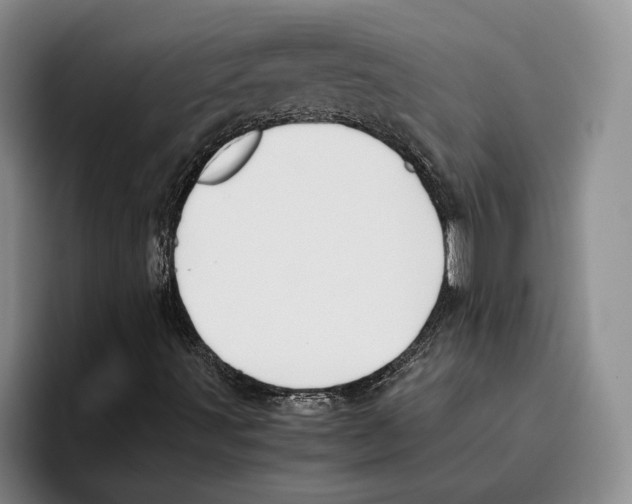 X0000096221491200802151511