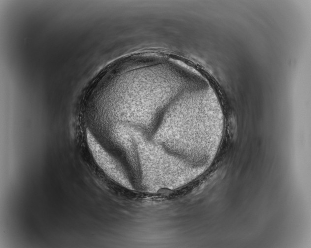 X0000096221496200802151511