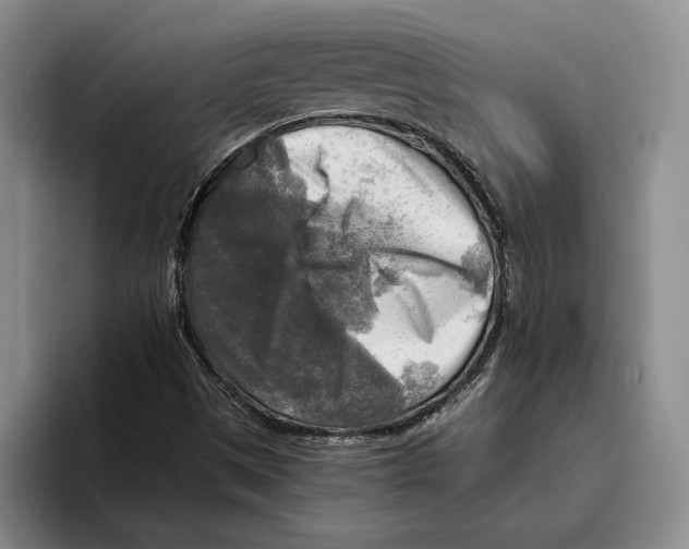 X0000096221497200802151511