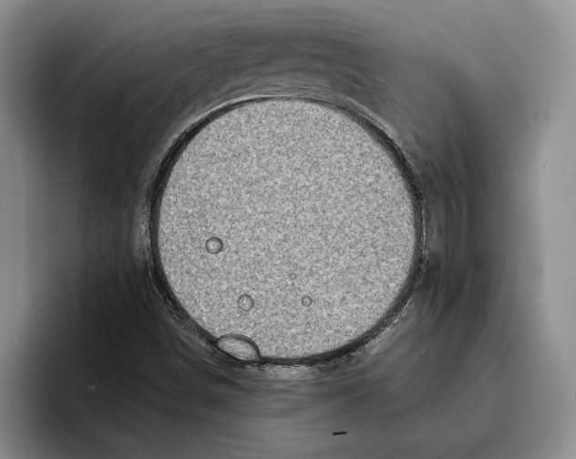 X0000096221498200802151511