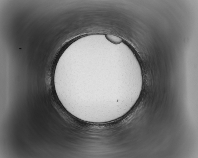 X0000096221499200802151511