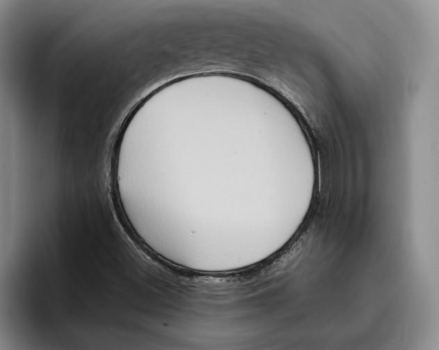 X0000096221500200802151511