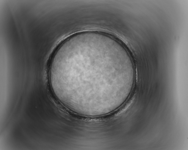 X0000096221501200802151511