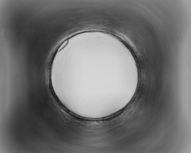 X0000096221504200802151511