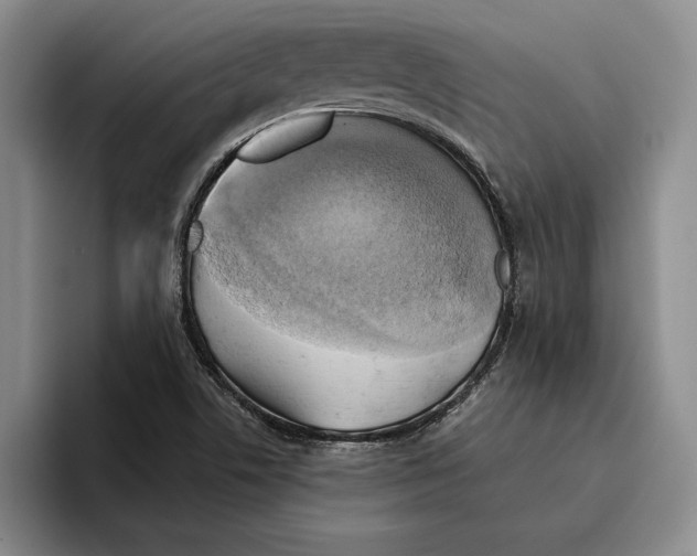 X0000096221506200802151512