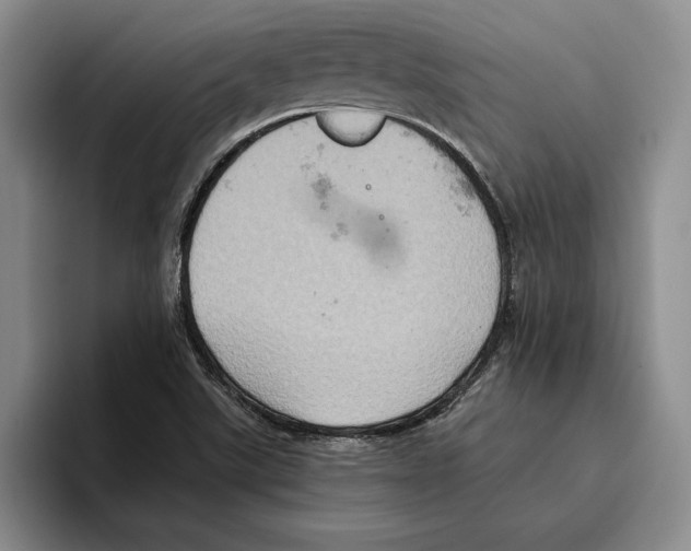 X0000096221507200802151512