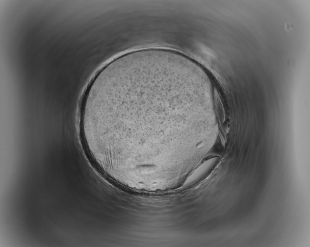 X0000096221508200802151512