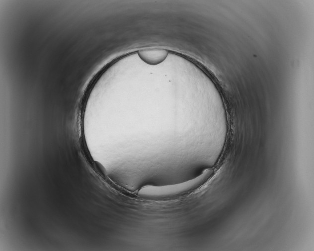 X0000096221510200802151512