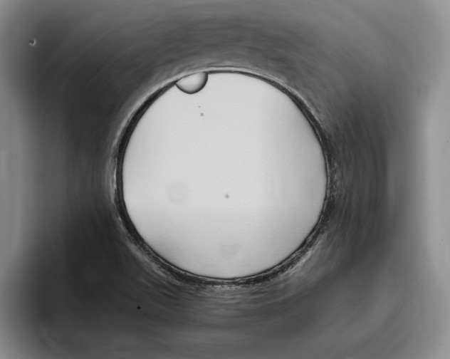 X0000096221511200802151512