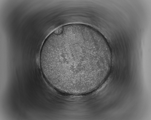 X0000096221513200802151512