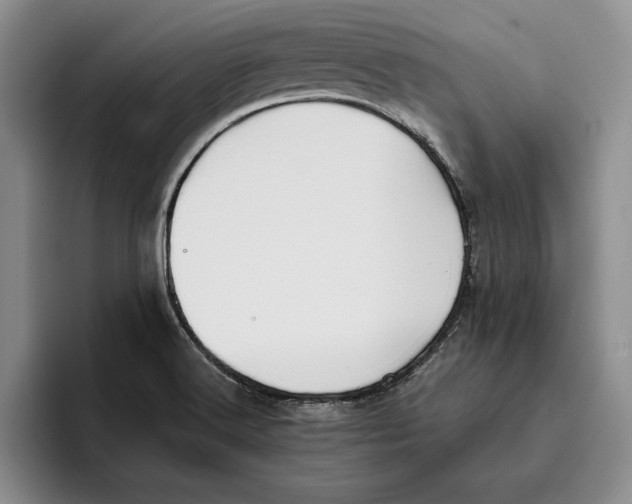 X0000096221516200802151512