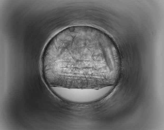 X0000096221517200802151512