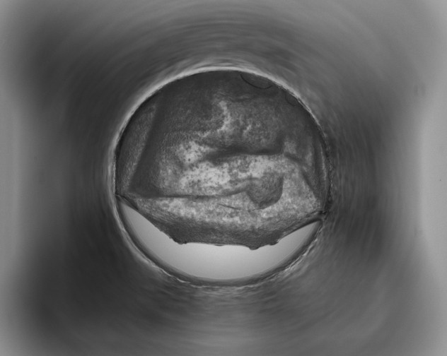 X0000096221519200802151512