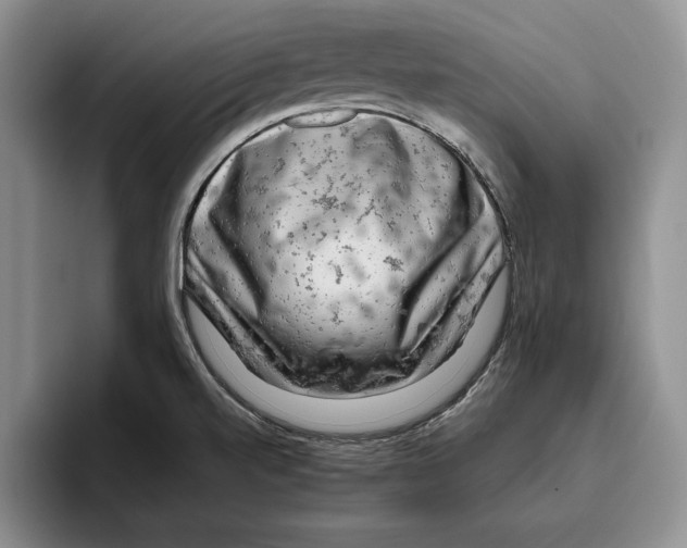 X0000096221520200802151512