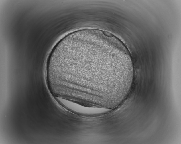 X0000096221523200802151512