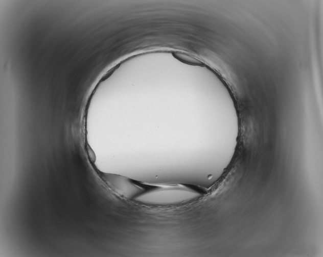 X0000096221524200802151512