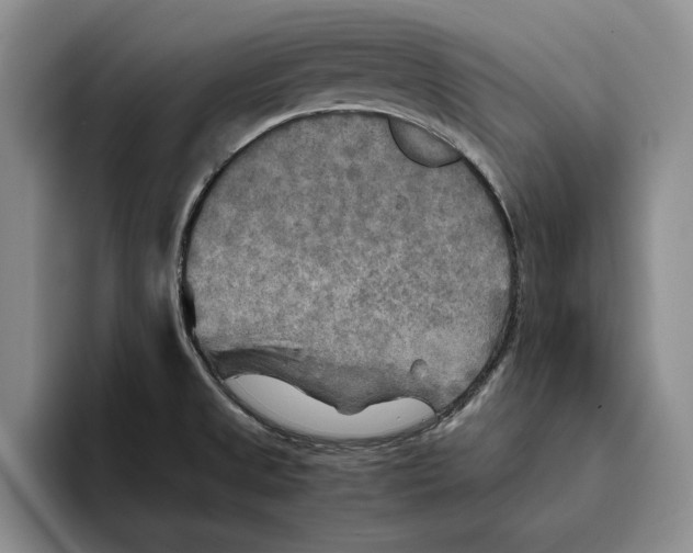 X0000096221525200802151512