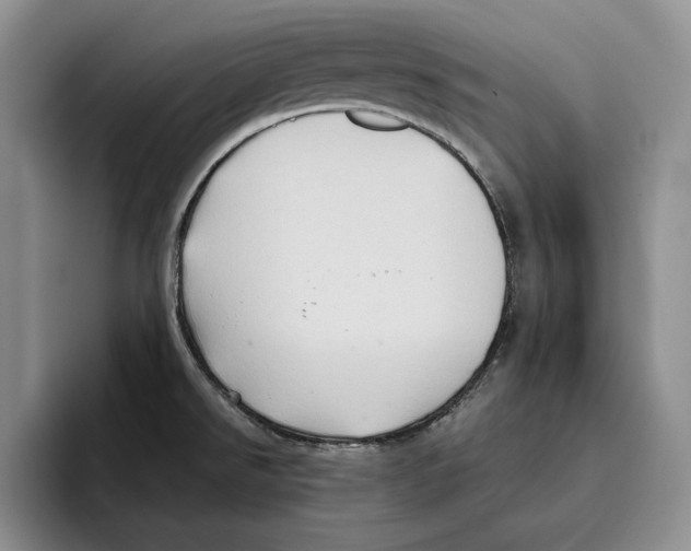 X0000096221526200802151512