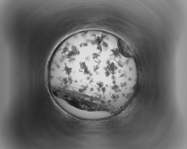 X0000096221527200802151512