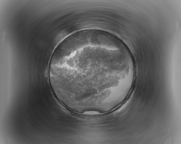 X0000096221529200802151512