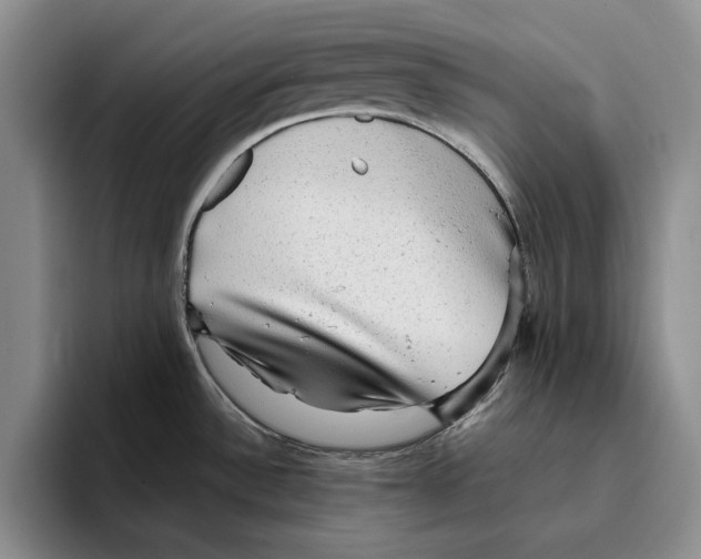 X0000096221532200802151512