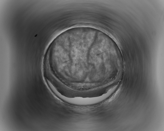 X0000096221533200802151512