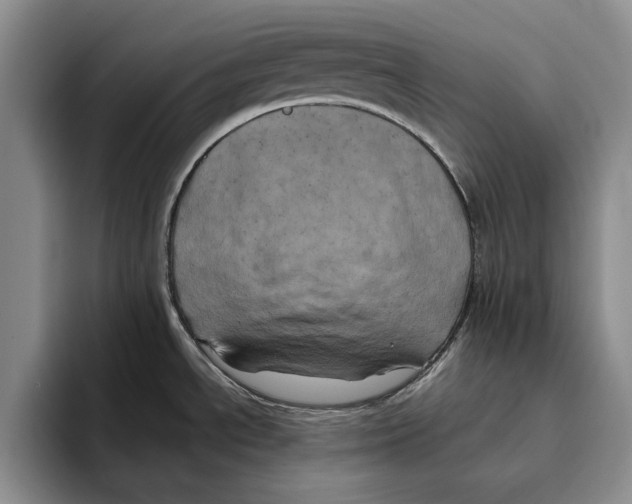 X0000096221534200802151512