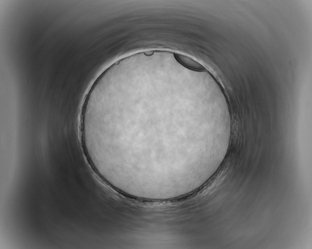 X0000096221535200802151512